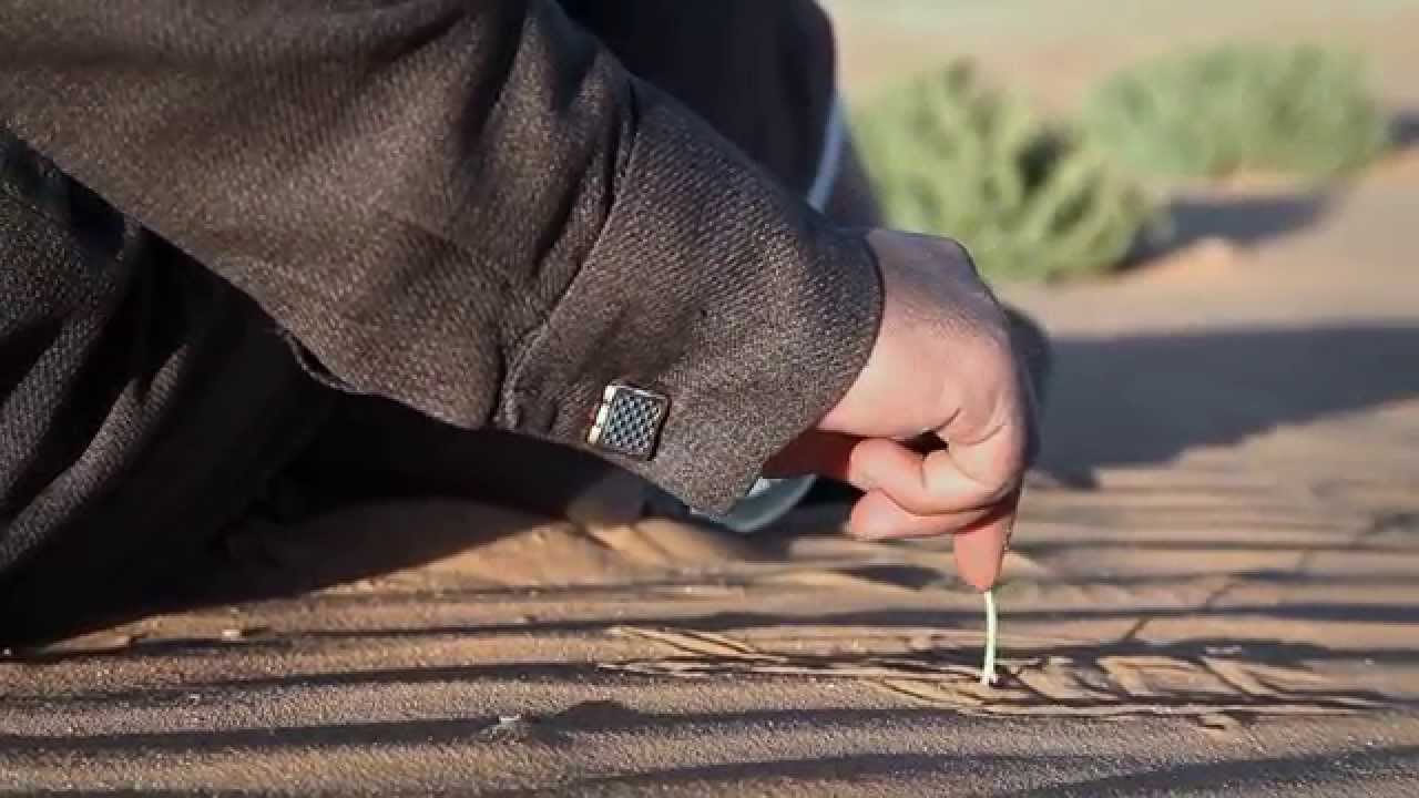 جميل القحطاني