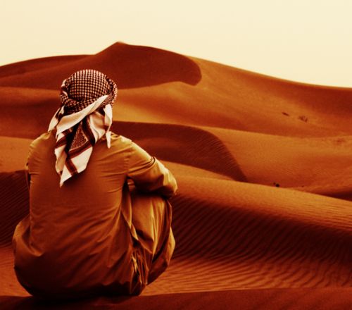 جميل المالكي 