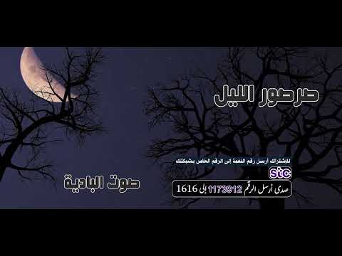 صرصور الليل _ إنتاج صوت البادية