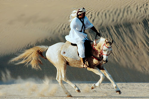 حمد المري