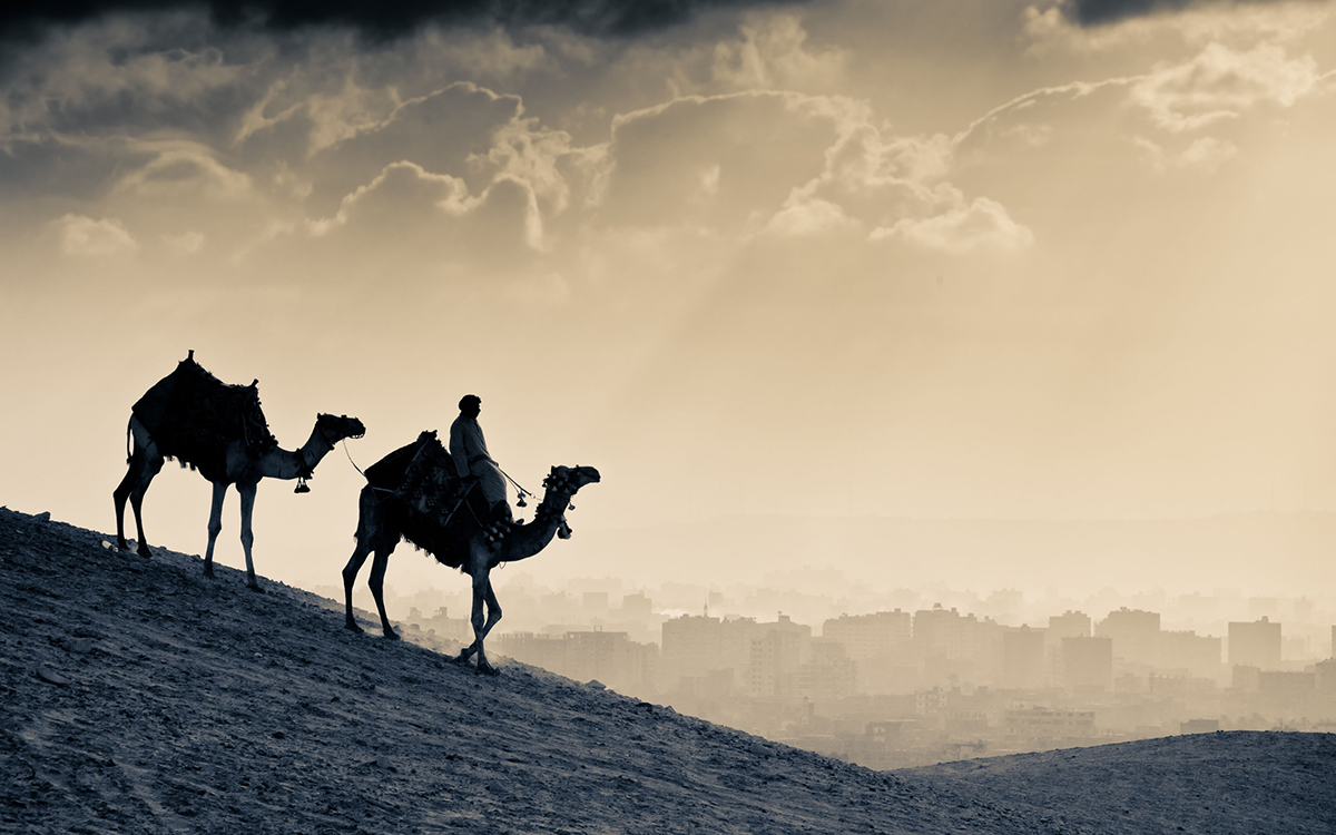درموح السبيعي